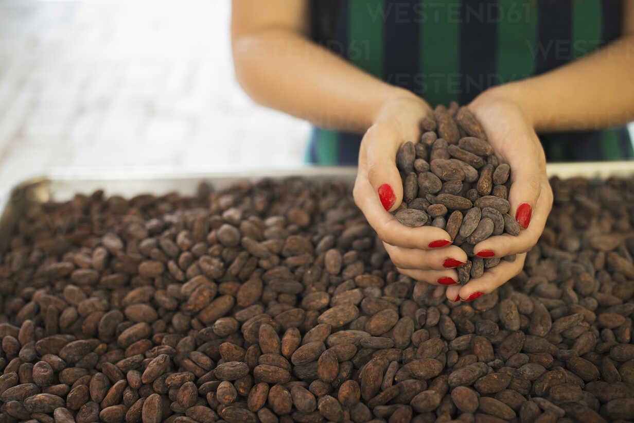 AktinaFoods Chocolate